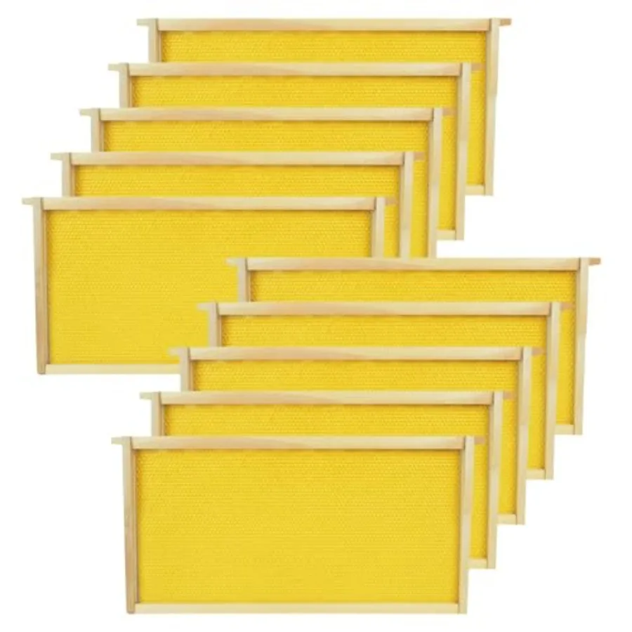 with Wax Foundation Beeswax Dipped Plastic Foundations for Beekeeping 9-1/8-Inch
with Wax Foundation Beeswax Dipped Plastic Foundations for Beekeeping 9-1/8-Inch