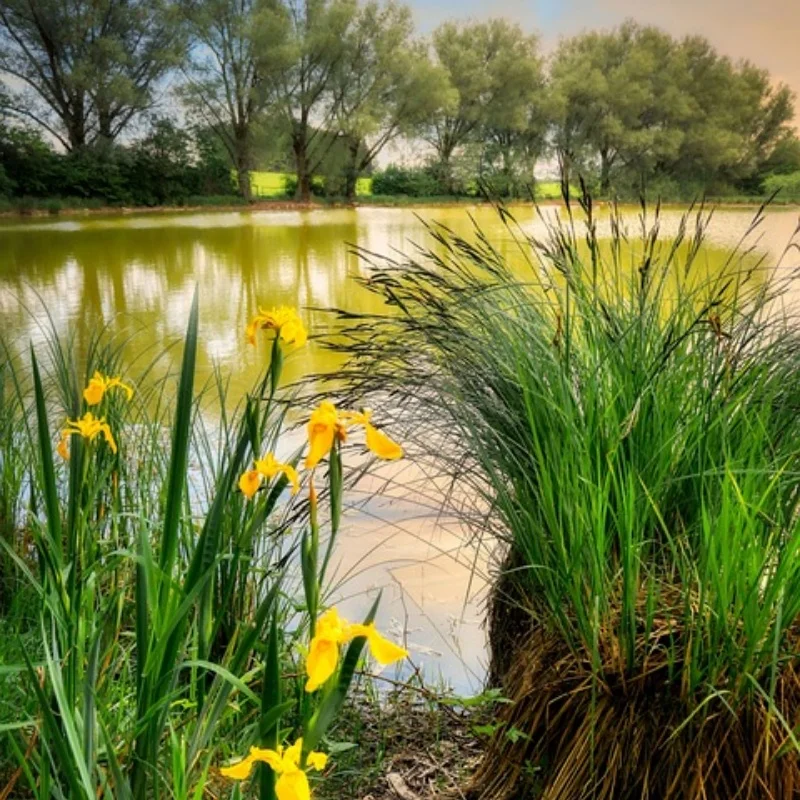 4 шт. металлический передний и задний приводной вал CVD для ARRMA 1/10 3S Big Rock Granite Senton Vortecks RC Car Upgrade Parts
4 шт. металлический передний и задний приводной вал CVD для ARRMA 1/10 3S Big Rock Granite Senton Vortecks RC Car Upgrade Parts