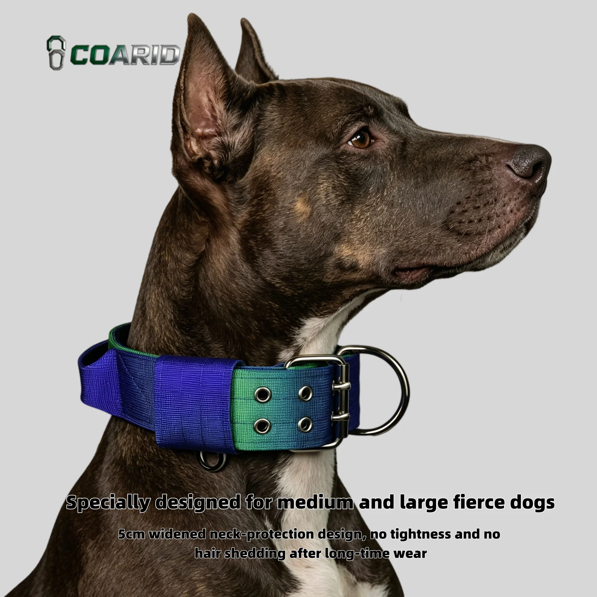 Gradient Tactical Dog Collar, 5cm Wide Heavy Duty Padded Nylon Collar, Adjustable for Medium Large Dogs
Gradient Tactical Dog Collar, 5cm Wide Heavy Duty Padded Nylon Collar, Adjustable for Medium Large Dogs