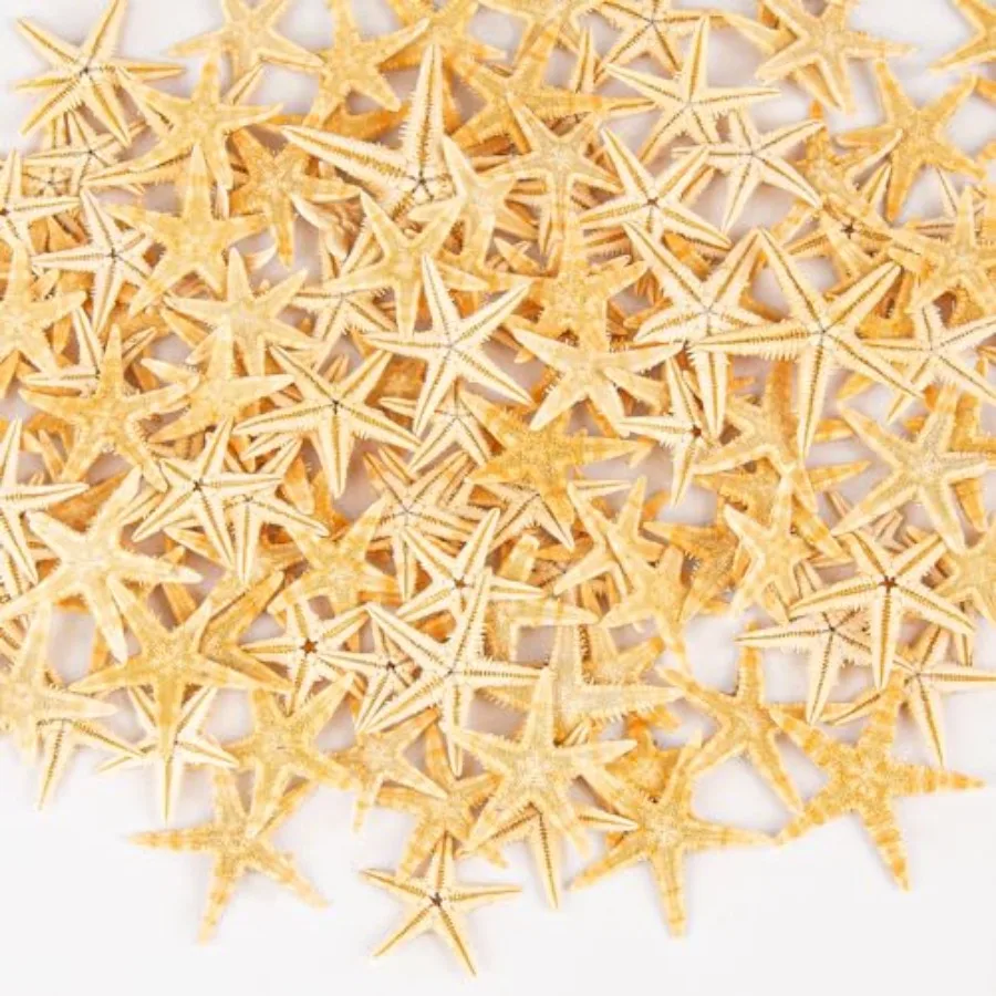 QEQEKAKA 100 шт. морская звезда для поделок от 0,4 до 1 дюйма бирюст, маленькая морская звезда, декор, объемная мини-морская звезда для свадьбы, пляжа, тематический декор, Hom
QEQEKAKA 100 шт. морская звезда для поделок от 0,4 до 1 дюйма бирюст, маленькая морская звезда, декор, объемная мини-морская звезда для свадьбы, пляжа, тематический декор, Hom