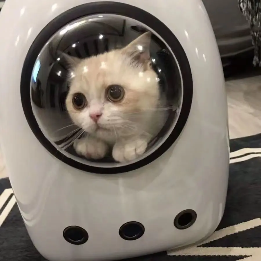 Portable Cat Backpack Carrier Pet Space Capsule Bubble Travel Outdoor Shoulder Bag for Small Dogs Cats
Portable Cat Backpack Carrier Pet Space Capsule Bubble Travel Outdoor Shoulder Bag for Small Dogs Cats