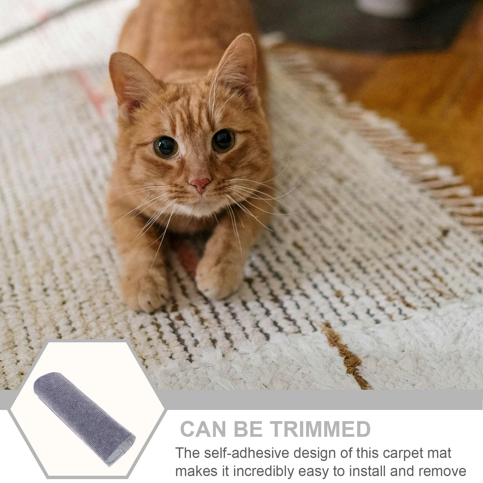 Cat Scratching Mat Polypropylene Fiber Wear-Resistant Indoor Cat Scratch Pad Kitten Claw Grinding Board Reusable Household
Cat Scratching Mat Polypropylene Fiber Wear-Resistant Indoor Cat Scratch Pad Kitten Claw Grinding Board Reusable Household