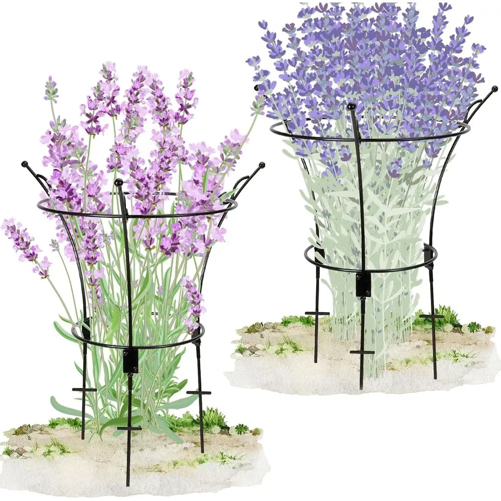 2 Pack Large Peony Cages and Supports,23.2" H X 13.4" D Metal Peony Support Rings,Tall Plant Support Garden Stakes or Outdoor Pl
2 Pack Large Peony Cages and Supports,23.2" H X 13.4" D Metal Peony Support Rings,Tall Plant Support Garden Stakes or Outdoor Pl