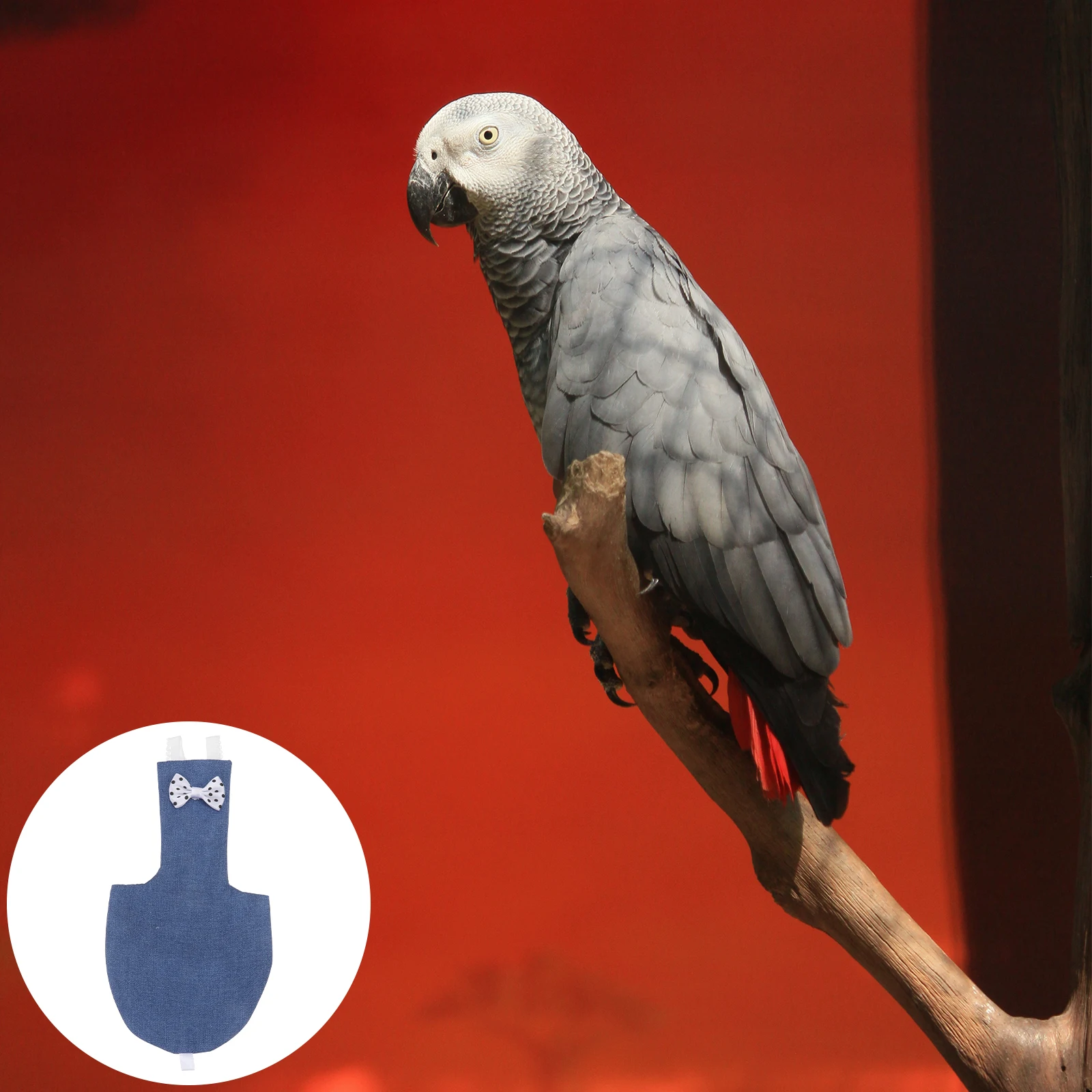 1Pcs Parrot Diaper Premium Flight Suit Reusable Washable Comfortable Bird Apparel Pet Bird Suit Prevents Droppings on Sofa
1Pcs Parrot Diaper Premium Flight Suit Reusable Washable Comfortable Bird Apparel Pet Bird Suit Prevents Droppings on Sofa