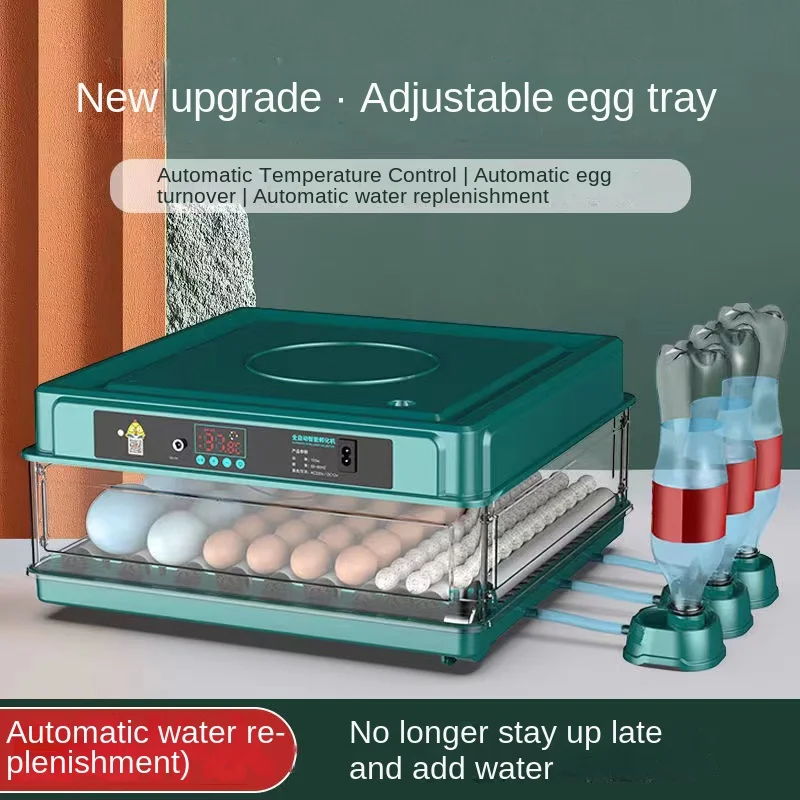 Imported Technology Incubator Rutin Chicken Chicken Pigeon Quail Incubator Small Household Type All-Self
Imported Technology Incubator Rutin Chicken Chicken Pigeon Quail Incubator Small Household Type All-Self