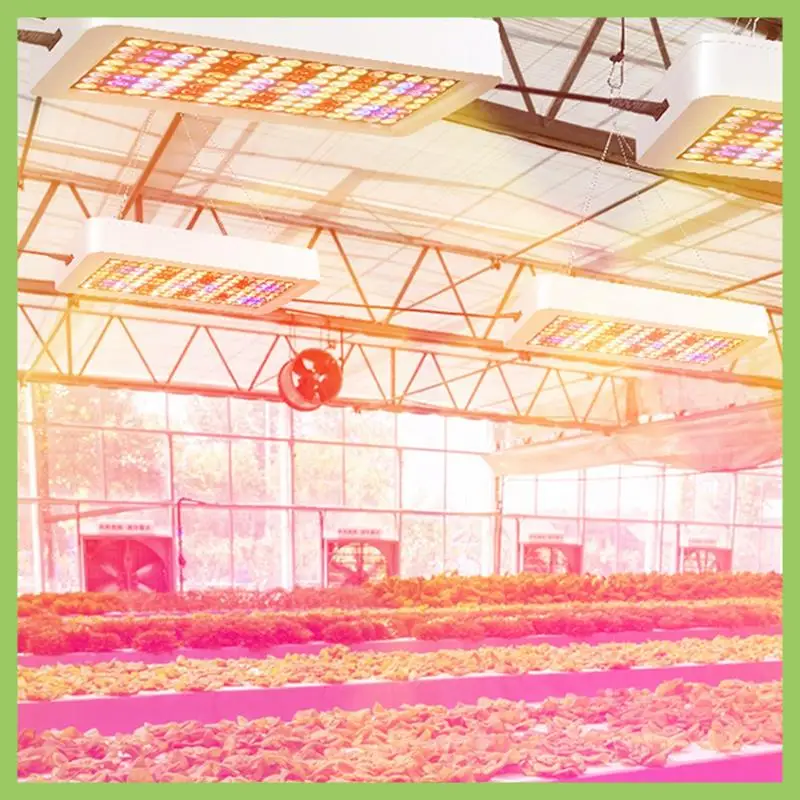 Вилка европейского стандарта, 240 светодиодов, освещение для выращивания растений, полный спектр, тепличная лампа для выращивания комнатных растений, овощей, гидропонная фитолампа, прочная
Вилка европейского стандарта, 240 светодиодов, освещение для выращивания растений, полный спектр, тепличная лампа для выращивания комнатных растений, овощей, гидропонная фитолампа, прочная