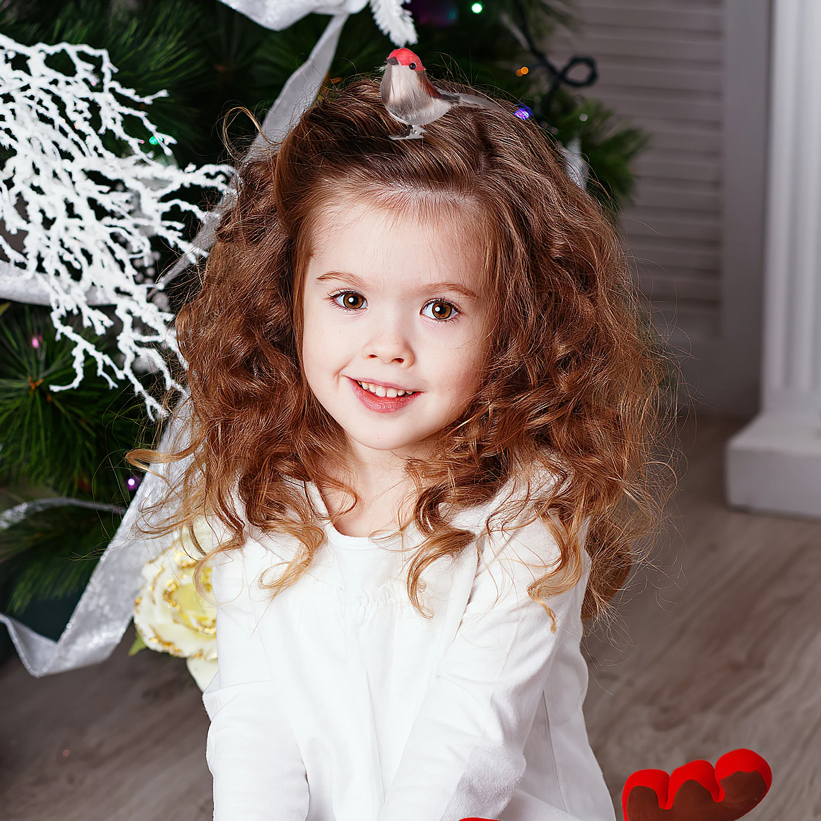 4Pcs Artificial Bird Decoration Lifelike Feathered Birds Decor for Home Garden Party Wedding Christmas Easter Props
4Pcs Artificial Bird Decoration Lifelike Feathered Birds Decor for Home Garden Party Wedding Christmas Easter Props