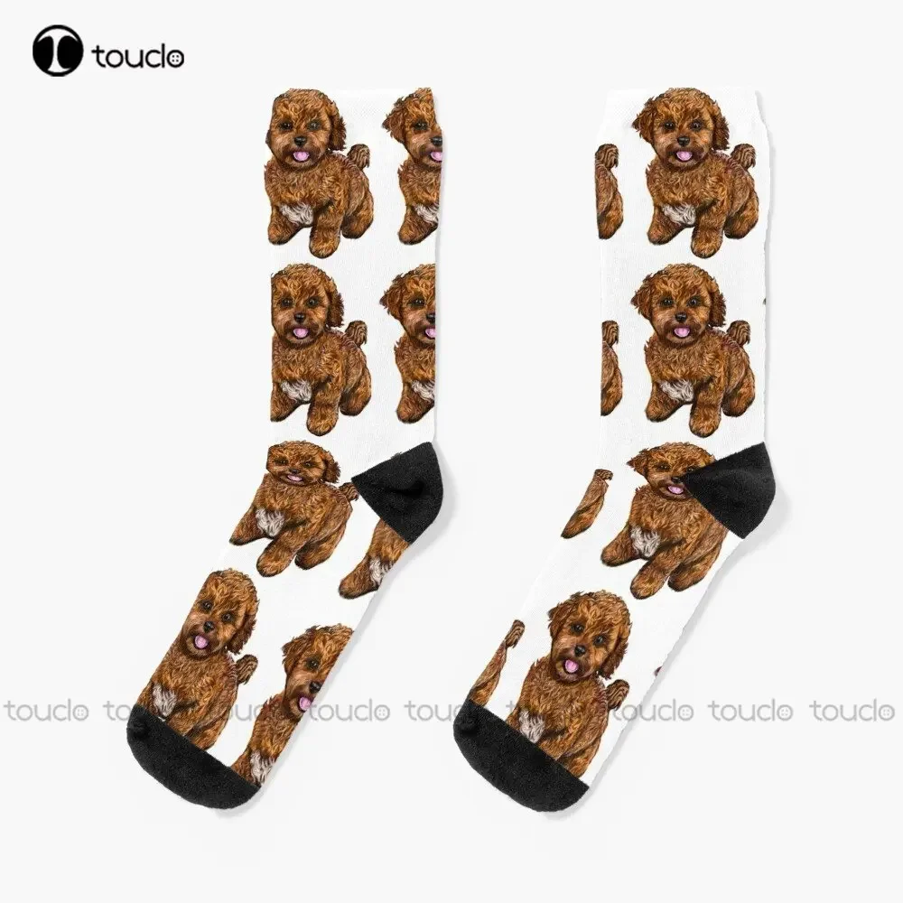 Cavapoochon Cavapoo Cavoodle - милые дружелюбные носки Cavalier King Charles Spaniel Bichon Frise, подарок на заказ, уличная одежда, забавные носки
Cavapoochon Cavapoo Cavoodle - милые дружелюбные носки Cavalier King Charles Spaniel Bichon Frise, подарок на заказ, уличная одежда, забавные носки