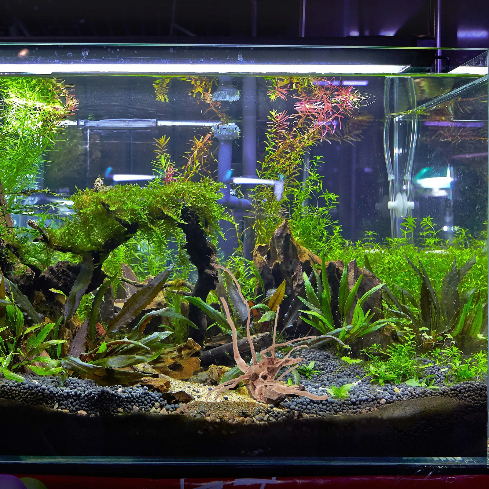 3Pcs Aquarium Driftwood Decoration Firm Rot-Resistant Wood for Fish Tank Mini Landscape Aquatic Decor Driftwood Natural-Looking
3Pcs Aquarium Driftwood Decoration Firm Rot-Resistant Wood for Fish Tank Mini Landscape Aquatic Decor Driftwood Natural-Looking