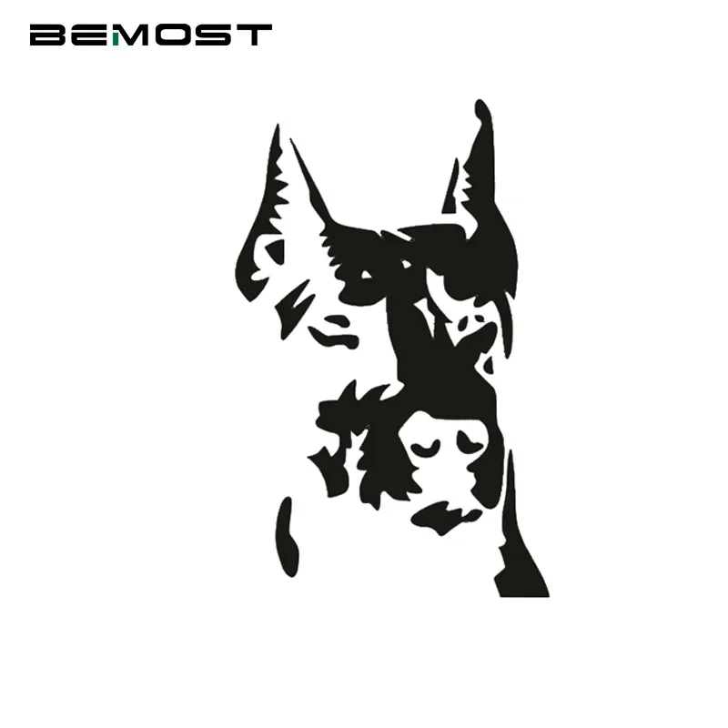 14*9CM Reflective Animal Car Stickers Dog Hound Doberman Pinscher Decals Car Stickers Waterproof Styling 
14*9CM Reflective Animal Car Stickers Dog Hound Doberman Pinscher Decals Car Stickers Waterproof Styling