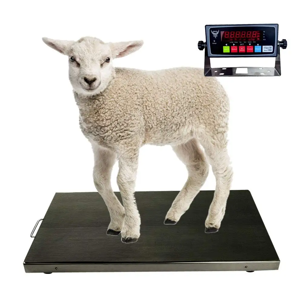 Lamb, Goat, Sheep, Pigs, hogs, Donkey, Calf, Digital Indicator Included, Capacity 700lbs (38″ x 20″)
Lamb, Goat, Sheep, Pigs, hogs, Donkey, Calf, Digital Indicator Included, Capacity 700lbs (38″ x 20″)