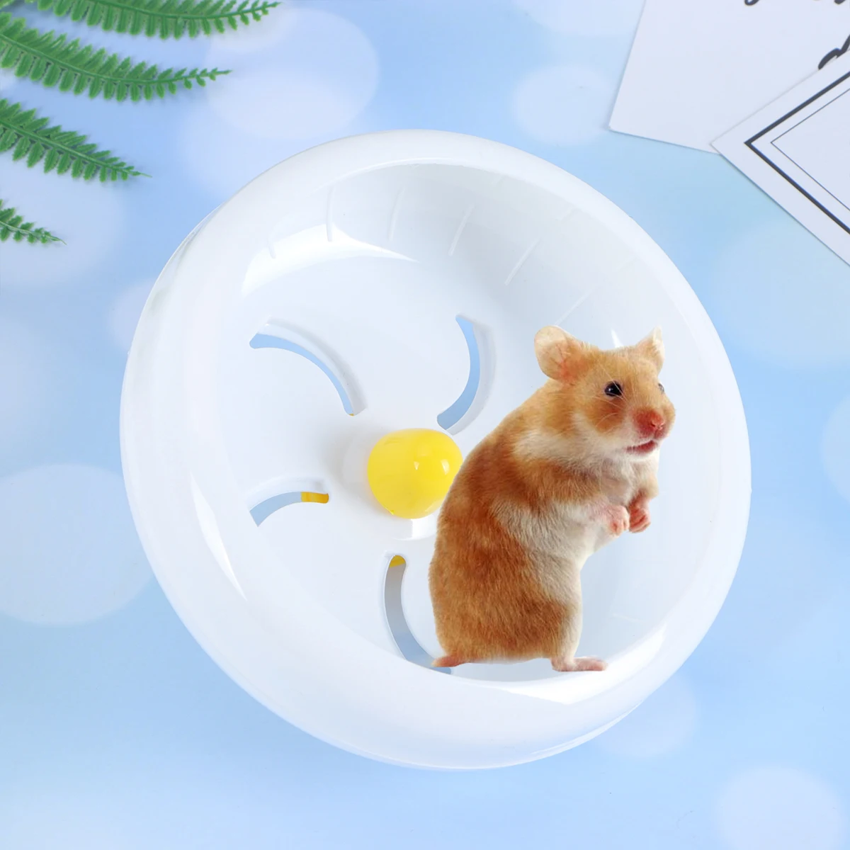 Pet Exercise Wheel Hamster Running Wheel Small Animal Toy Rat Cage Accessories Non Slip Silent Design Durable Safe
Pet Exercise Wheel Hamster Running Wheel Small Animal Toy Rat Cage Accessories Non Slip Silent Design Durable Safe