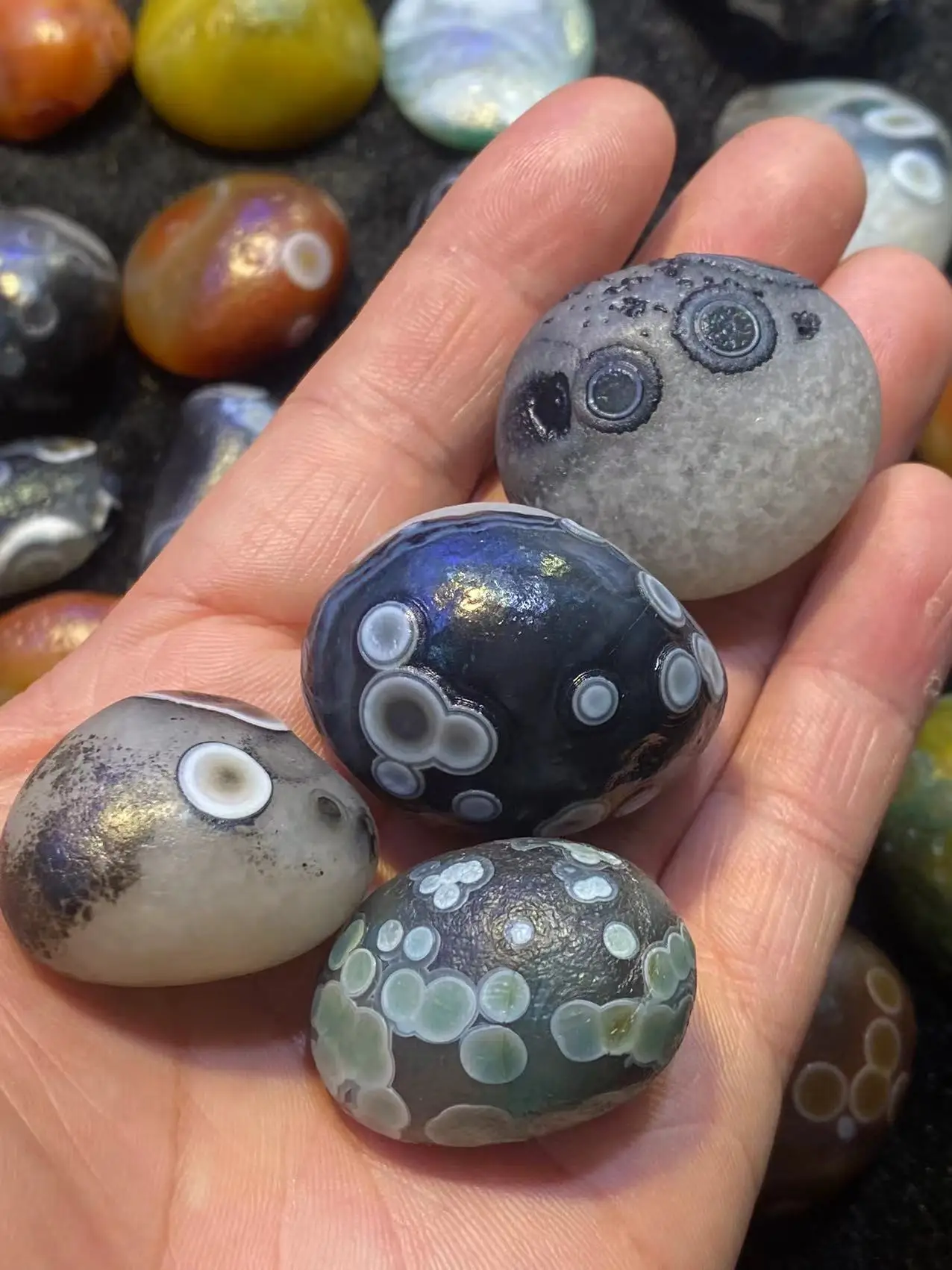 2kg/lot Preferred Rare Special Egg-shaped Energy Colorful Multi-Eyed Agate Raw Stone Wholesale big and small size Collectible
2kg/lot Preferred Rare Special Egg-shaped Energy Colorful Multi-Eyed Agate Raw Stone Wholesale big and small size Collectible