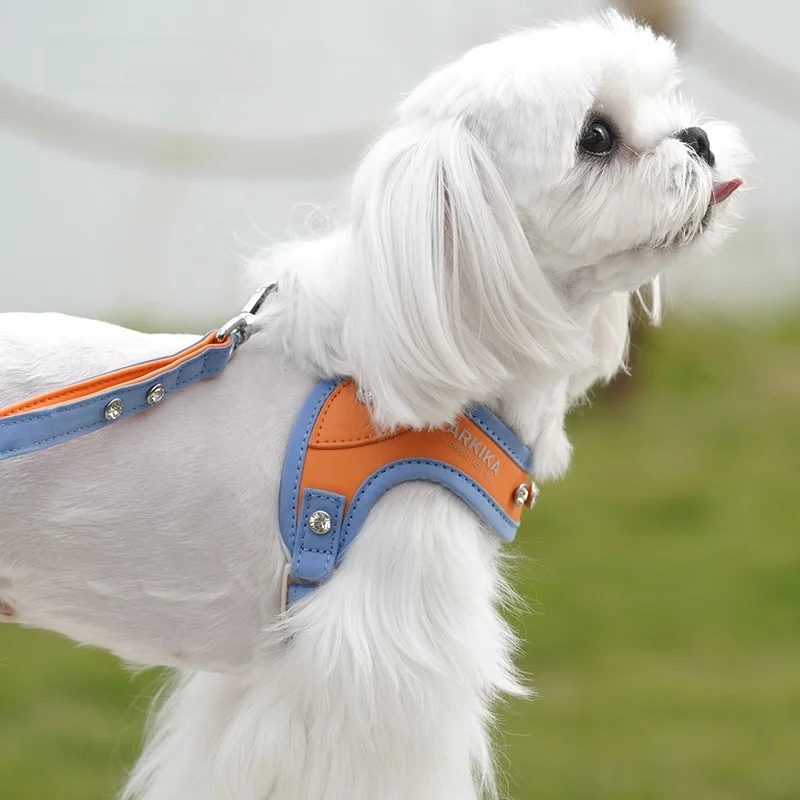 Arkika Pet Chest Back Dog Leash Small Breed Dogs Yorkie Maltese Teddy out for a Walk Rope Non-Extensible Normal Specification
Arkika Pet Chest Back Dog Leash Small Breed Dogs Yorkie Maltese Teddy out for a Walk Rope Non-Extensible Normal Specification