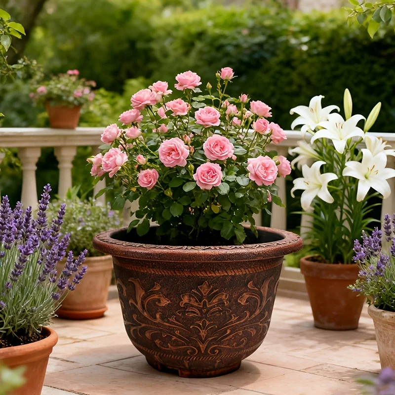 2pcs 20 Inches Resin European Flower Pots - Pots with Thick Paint, Durable Construction, Drainage Holes
2pcs 20 Inches Resin European Flower Pots - Pots with Thick Paint, Durable Construction, Drainage Holes
