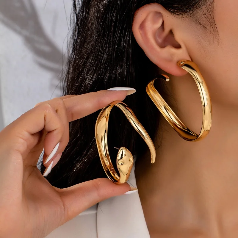 High Quality Punk Snake Large Circle Earrings for Women Personalized Creativity Daily Party Girls Halloween Luxury Gifts
High Quality Punk Snake Large Circle Earrings for Women Personalized Creativity Daily Party Girls Halloween Luxury Gifts