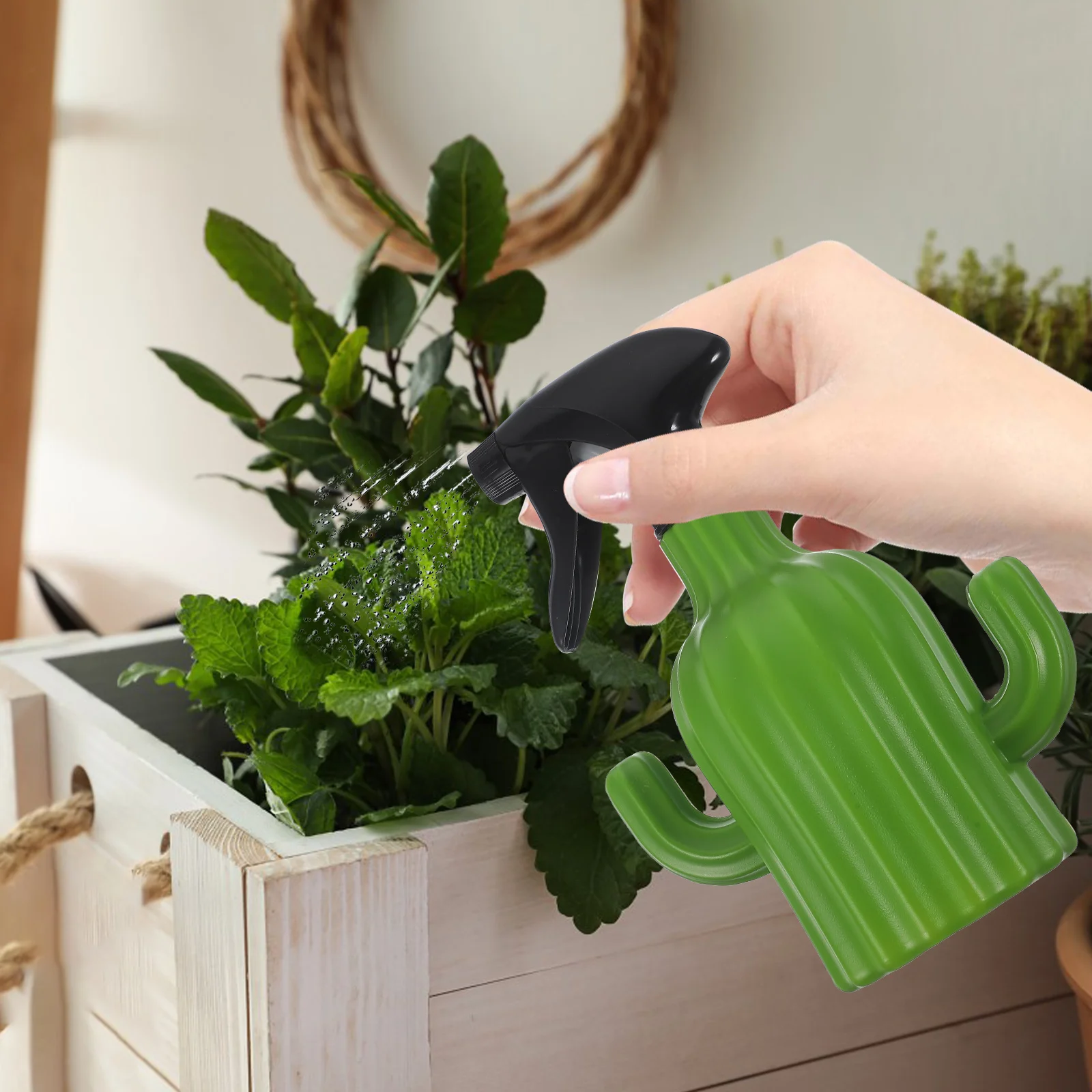 Bright 500ml Cactus Watering Can Plant Mister Spray Bottle for Developing Gardening Skills and Indoor Use
Bright 500ml Cactus Watering Can Plant Mister Spray Bottle for Developing Gardening Skills and Indoor Use