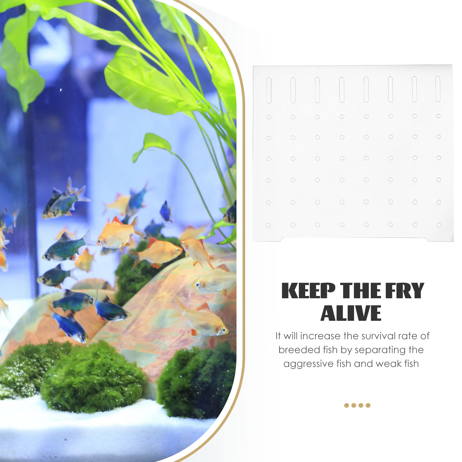 4pcs Acrylic Tank Isolation Plate Fish Segregation Board Aquarium Baffle Pet Supplies Durable Flat Safe For Fish Tank Aquarium 
4pcs Acrylic Tank Isolation Plate Fish Segregation Board Aquarium Baffle Pet Supplies Durable Flat Safe For Fish Tank Aquarium