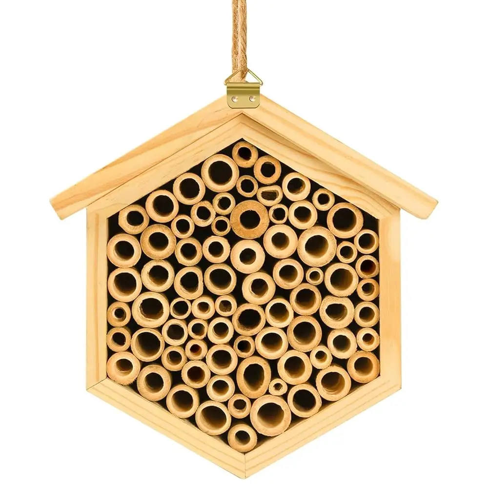 Mason Bee House - Natural Bamboo Bee Habitat Hotel for Carpenter, Pollinating, Leaf Cutter Bees
Mason Bee House - Natural Bamboo Bee Habitat Hotel for Carpenter, Pollinating, Leaf Cutter Bees