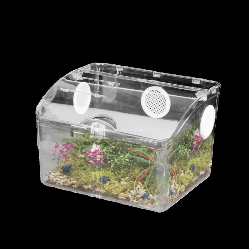 Acrylic Jumping Spider Enclosure Terrarium for Guardian Hermit Crab Silkworm Spider Reptile Insects
Acrylic Jumping Spider Enclosure Terrarium for Guardian Hermit Crab Silkworm Spider Reptile Insects