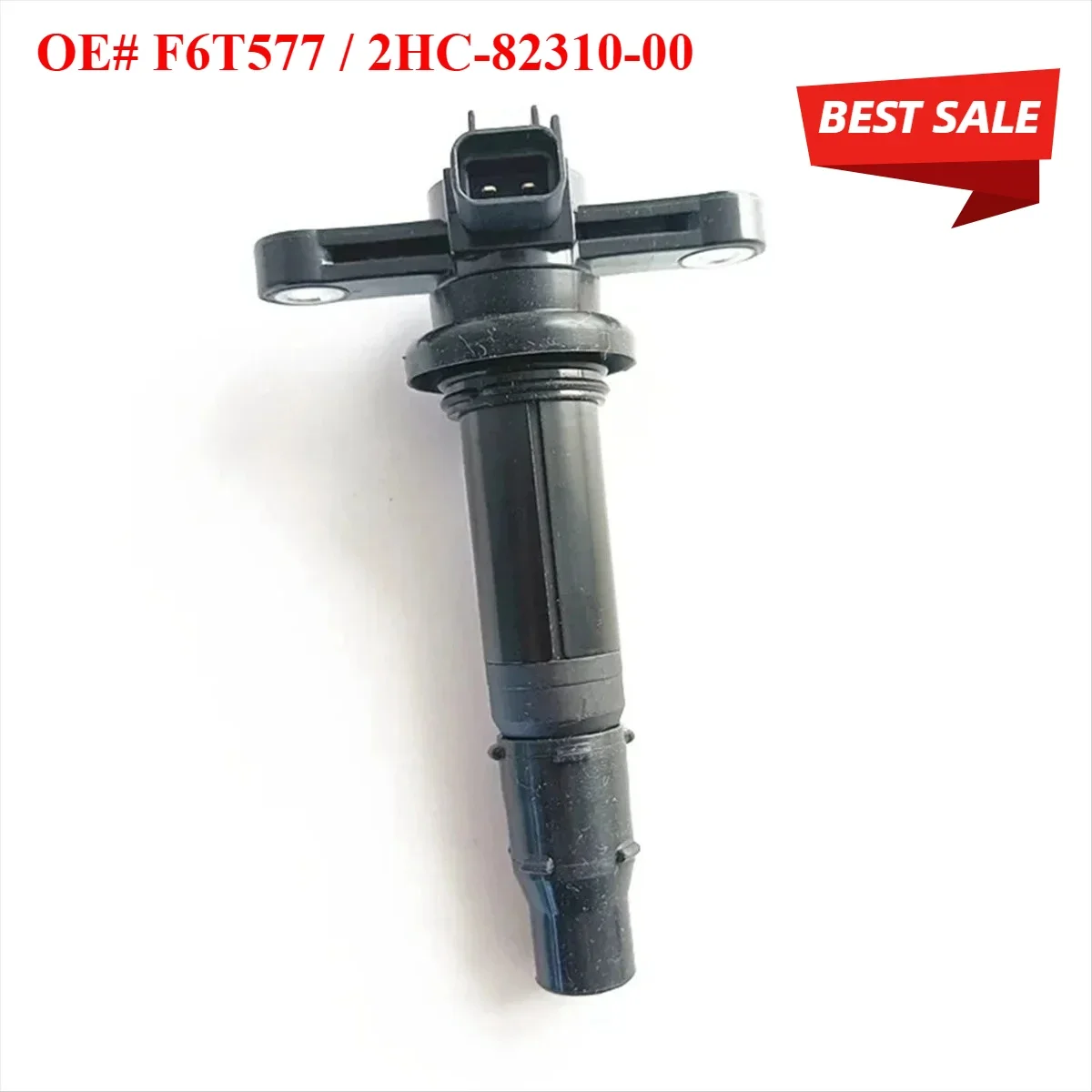 Motorcycle Ignition Coil Replace F6T577 2HC-82310-00
Motorcycle Ignition Coil Replace F6T577 2HC-82310-00