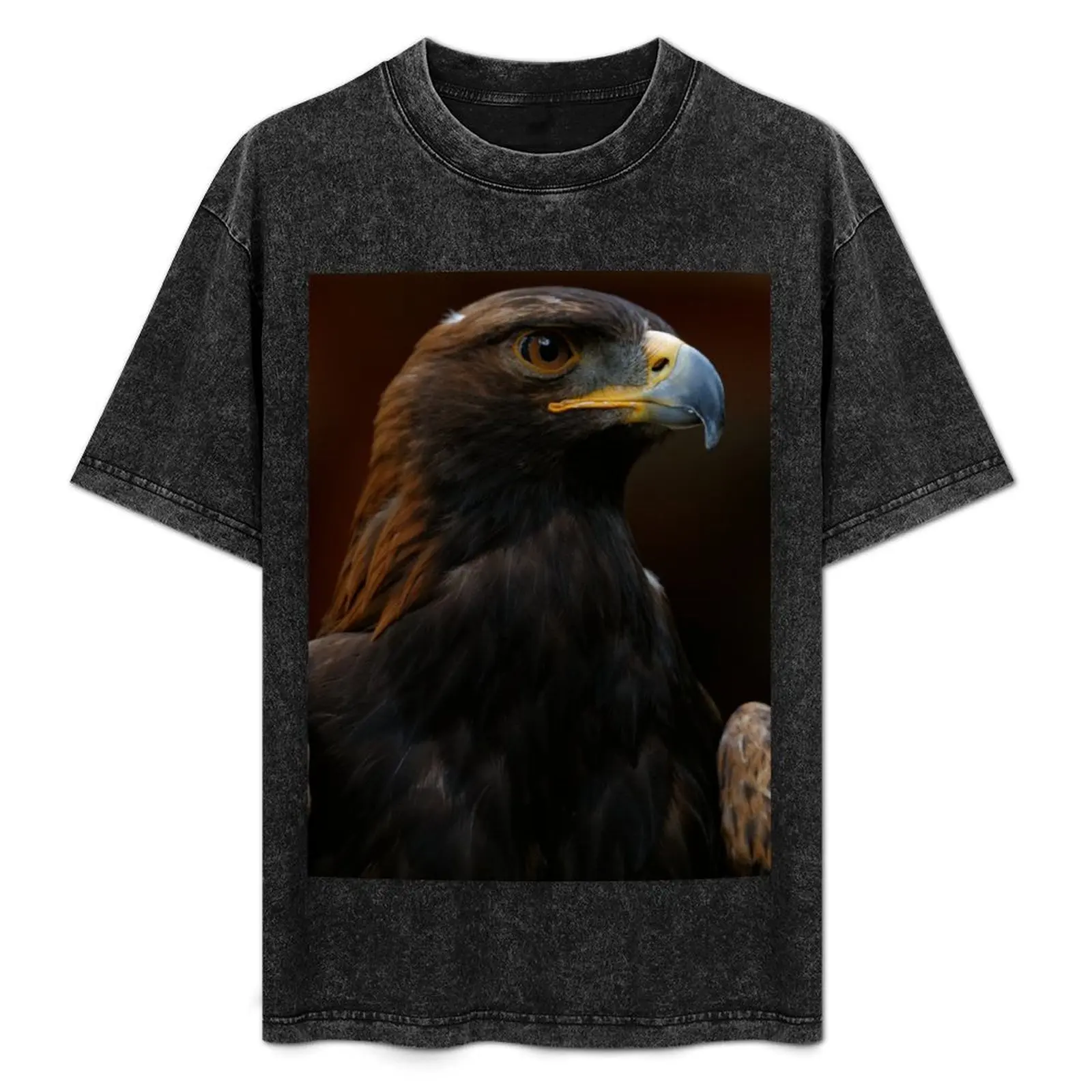 Golden Eagle T-Shirt Simple Trendy Casual T-Shirt
Golden Eagle T-Shirt Simple Trendy Casual T-Shirt