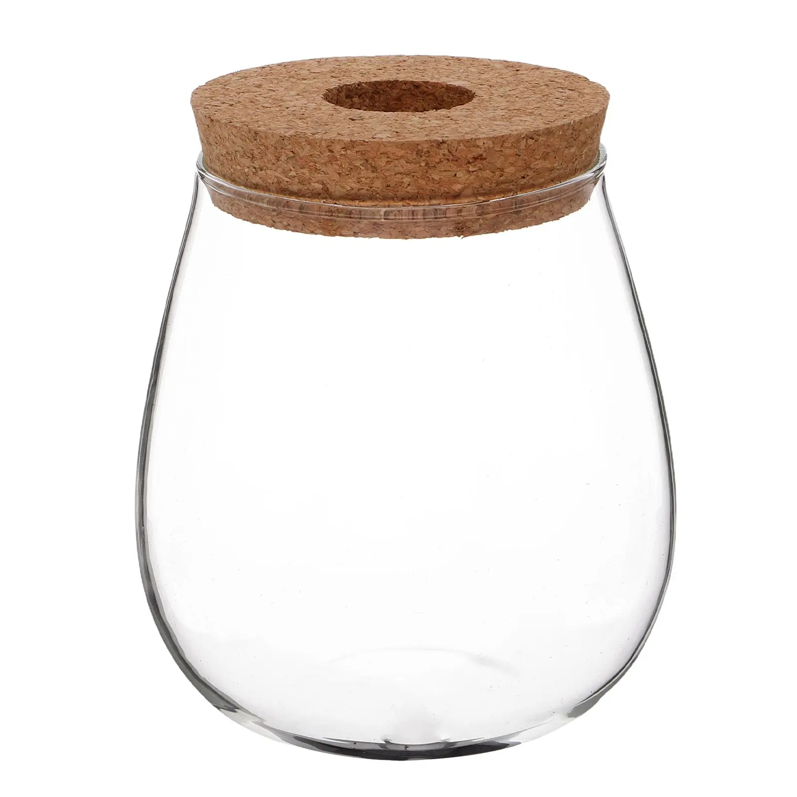 Water Culture Hydroponic Glass Vase Flower Plant Propagation Tank Station for Plants Modern Transparent
Water Culture Hydroponic Glass Vase Flower Plant Propagation Tank Station for Plants Modern Transparent