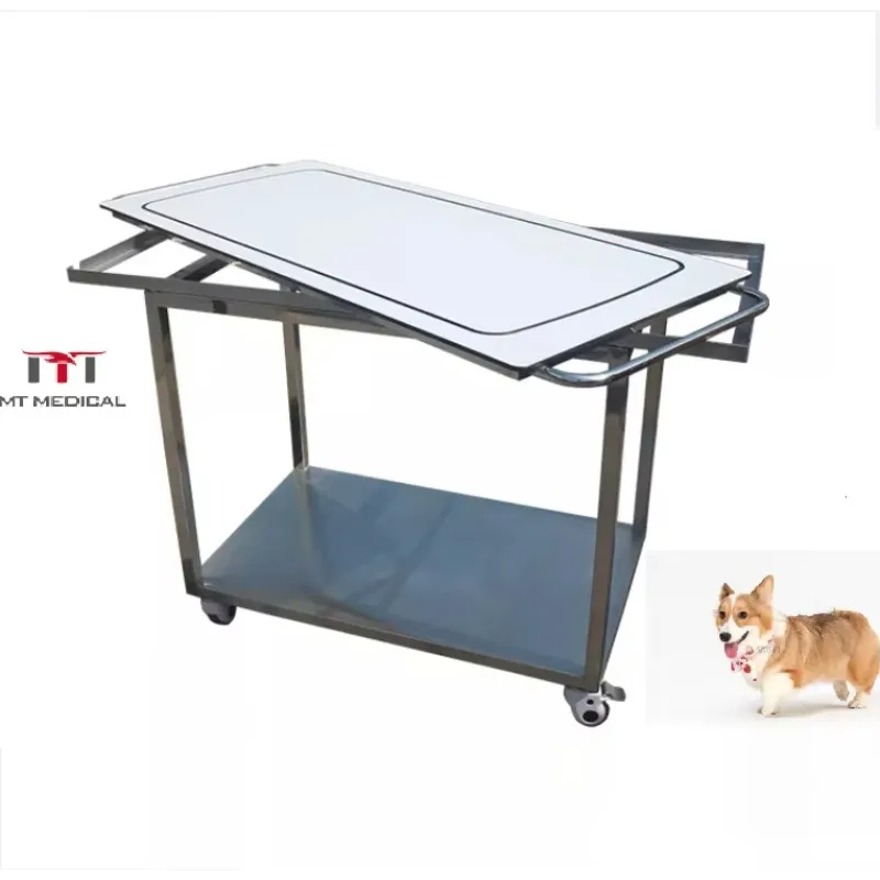 MT MEDICAL Animal Stretcher Vet Stainless Steel Stretcher Acrylic Surface Pet Stretcher for Small Animal
MT MEDICAL Animal Stretcher Vet Stainless Steel Stretcher Acrylic Surface Pet Stretcher for Small Animal