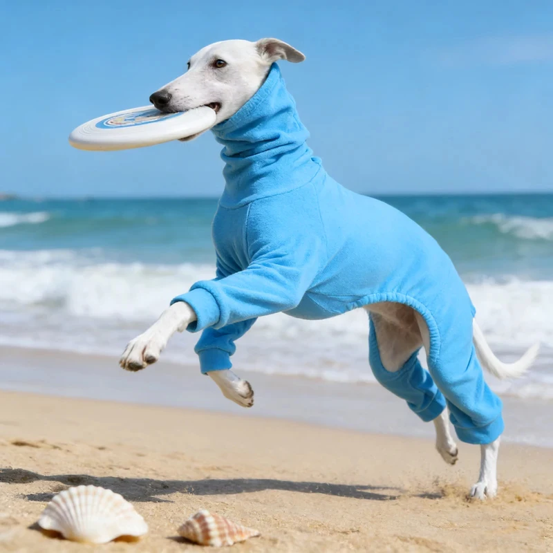 1pc blue polar fleece pet clothing for dogs is warm and comfortable, suitable for dogs with smaller neck widths and greyhounds
1pc blue polar fleece pet clothing for dogs is warm and comfortable, suitable for dogs with smaller neck widths and greyhounds