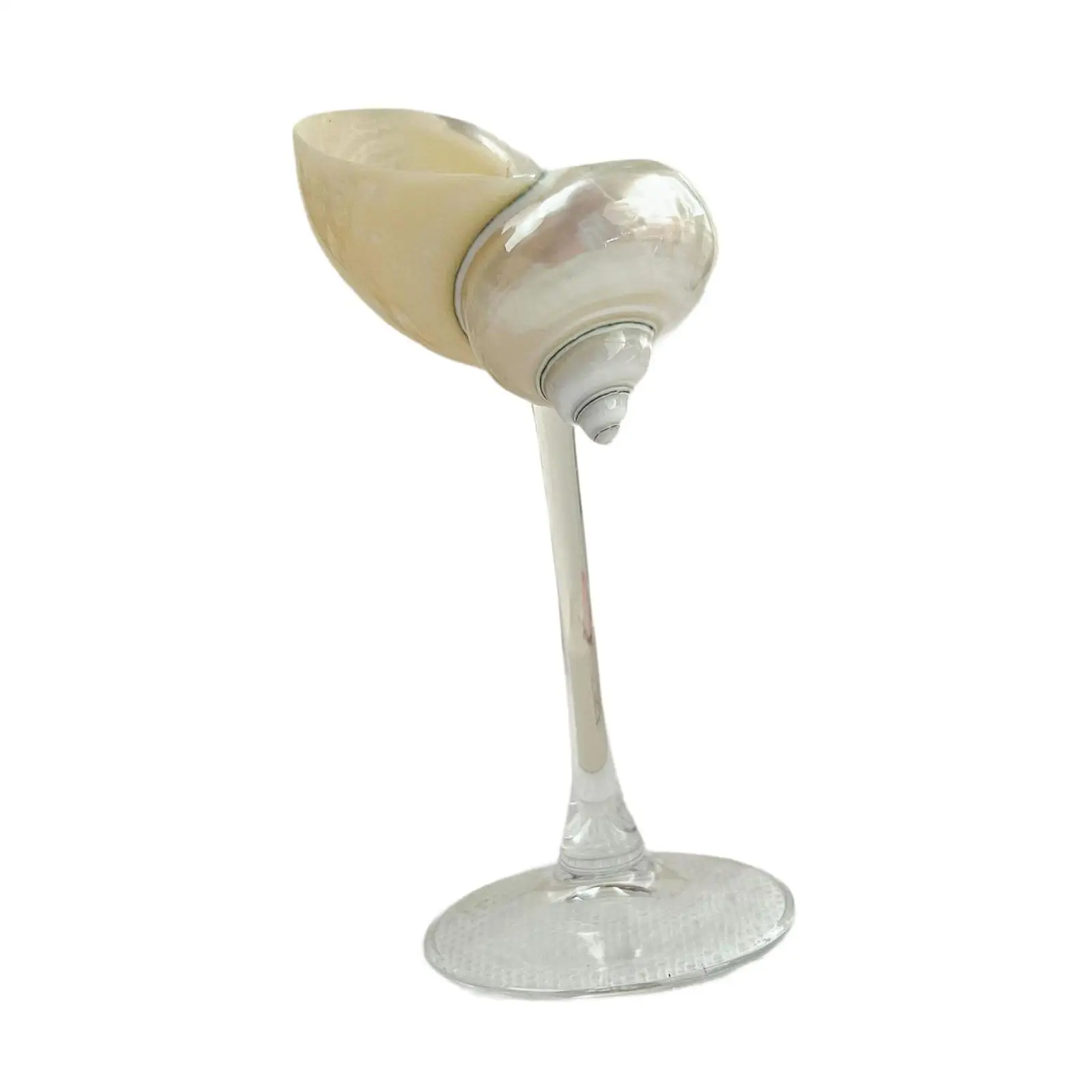 Conch Shell Champagne Glass Cup Martini Glasses Cute Handmade Decoration Unique Christmas Gift Goblet for Women Men Adults
Conch Shell Champagne Glass Cup Martini Glasses Cute Handmade Decoration Unique Christmas Gift Goblet for Women Men Adults