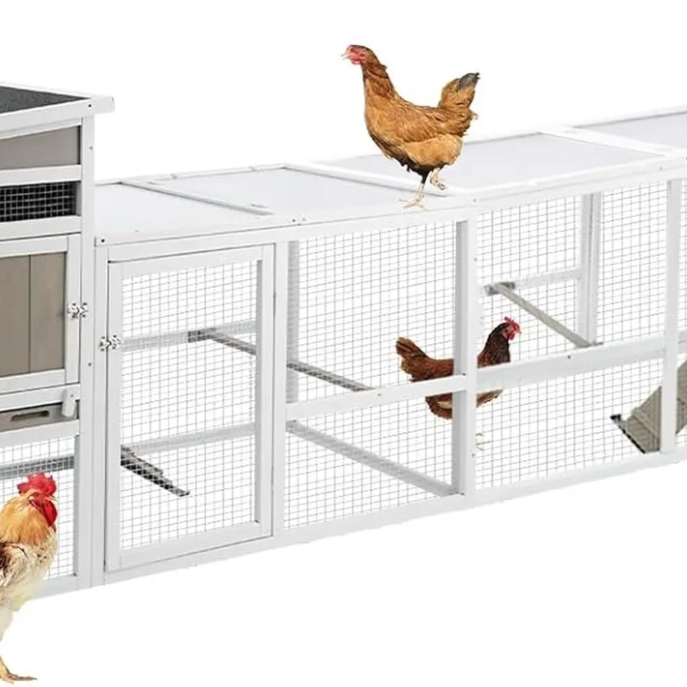 Серый курятник с гнездом, водонепроницаемой крышей, съемным подносом для открытого или внутреннего корпуса для птицы, 157,4 л x 23,6 Вт x 38
Серый курятник с гнездом, водонепроницаемой крышей, съемным подносом для открытого или внутреннего корпуса для птицы, 157,4 л x 23,6 Вт x 38