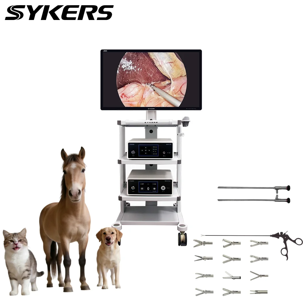 SYKERS SKS-U10 Veterinary Use Endoscopy Tower 4k Resolution Animal Diagnosis and Treatment
SYKERS SKS-U10 Veterinary Use Endoscopy Tower 4k Resolution Animal Diagnosis and Treatment