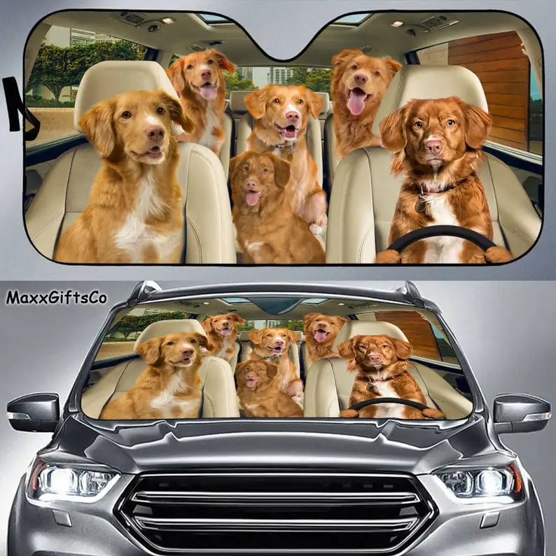 Nova Scotia Duck Tolling Retriever Car Sun Shade, Dogs Windshield, Family Dogs Auto Sunshade, Dogs Car Accessories, Dogs Lovers
Nova Scotia Duck Tolling Retriever Car Sun Shade, Dogs Windshield, Family Dogs Auto Sunshade, Dogs Car Accessories, Dogs Lovers