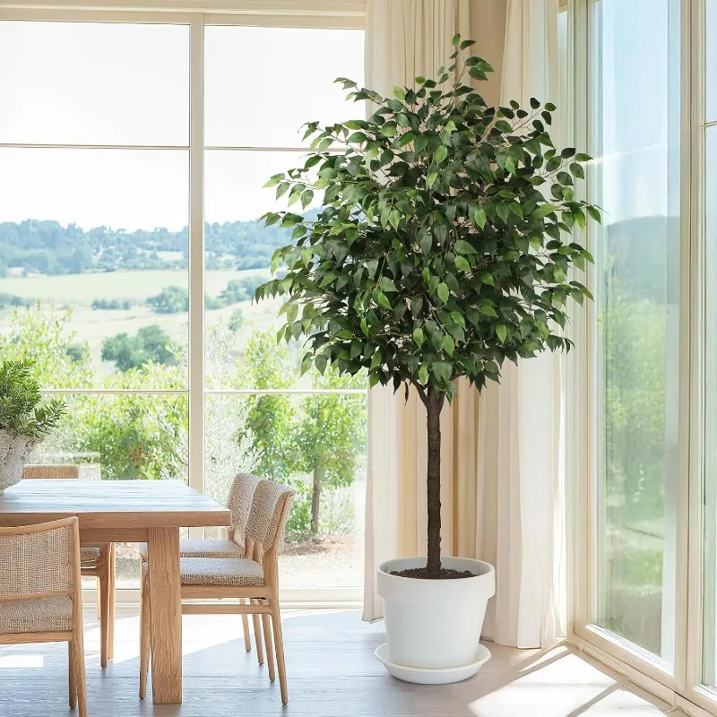 Artificia Ficus Tree Tall Silk Ficus Tree with Plastic Pot for Office and Home Decor,Decorative Artificial Plant for Indoors
Artificia Ficus Tree Tall Silk Ficus Tree with Plastic Pot for Office and Home Decor,Decorative Artificial Plant for Indoors