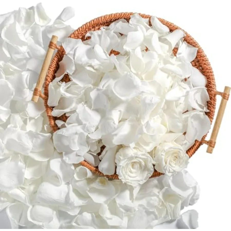 Real Ivory Rose Petals, Frozen Preserved Petals for, Wedding Party Decorations, Dried Flower Confetti, Table Centerpieces, Brid
Real Ivory Rose Petals, Frozen Preserved Petals for, Wedding Party Decorations, Dried Flower Confetti, Table Centerpieces, Brid