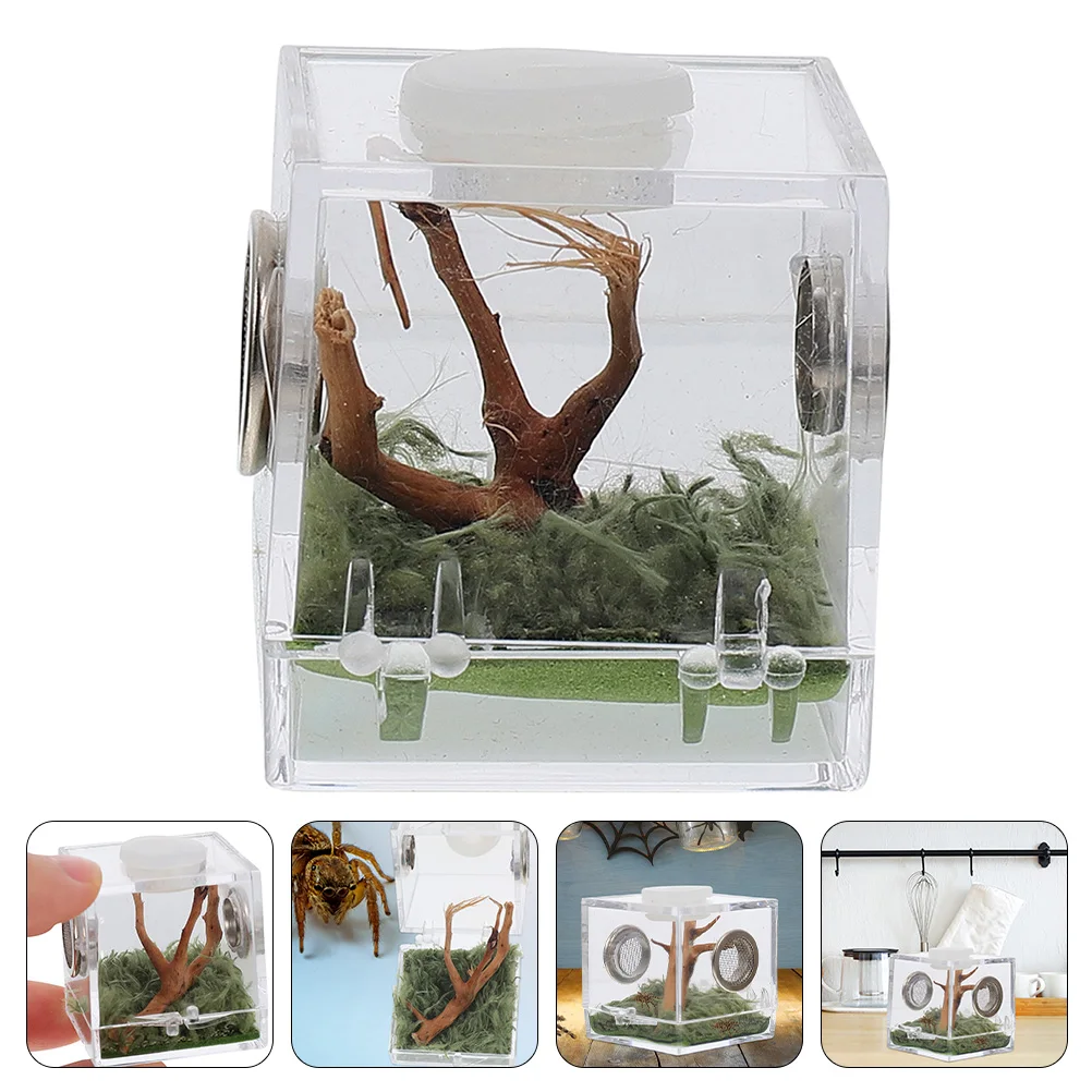 Jumping Spider Enclosure Transparent Acrylic Feeding Box Reptile Breeding Container Habitat Case Snake Hides Pet Cage
Jumping Spider Enclosure Transparent Acrylic Feeding Box Reptile Breeding Container Habitat Case Snake Hides Pet Cage