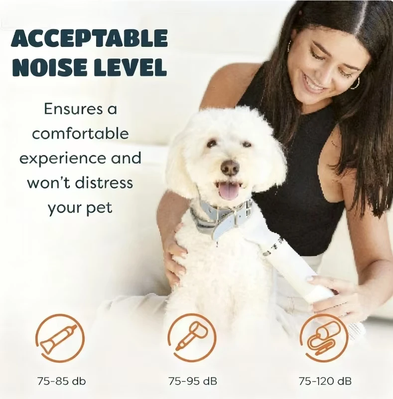 STLFPopular 5 in 1 Pet Hair Dryer Dog Blow Dryer with Three Adjustable Wind Speeds & High-concentration Negative Ions Feature
STLFPopular 5 in 1 Pet Hair Dryer Dog Blow Dryer with Three Adjustable Wind Speeds & High-concentration Negative Ions Feature