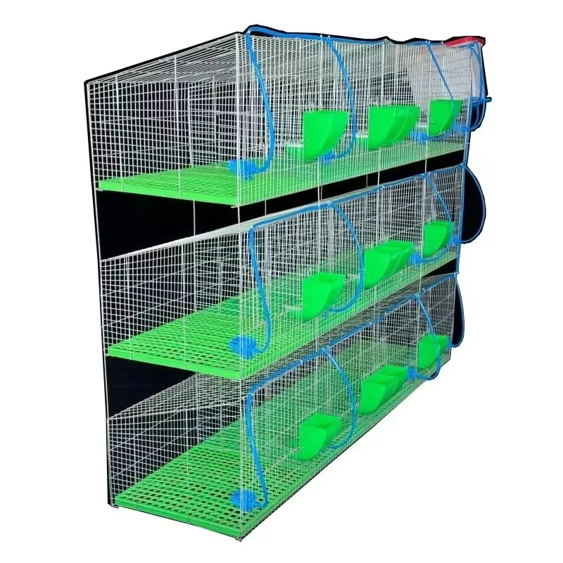 New High Quality Galvanized Pipe Rabbit Breeding Netting Cage with Animal Poultry Netting 12Unit Capacity Durable & Easy Clean
New High Quality Galvanized Pipe Rabbit Breeding Netting Cage with Animal Poultry Netting 12Unit Capacity Durable & Easy Clean