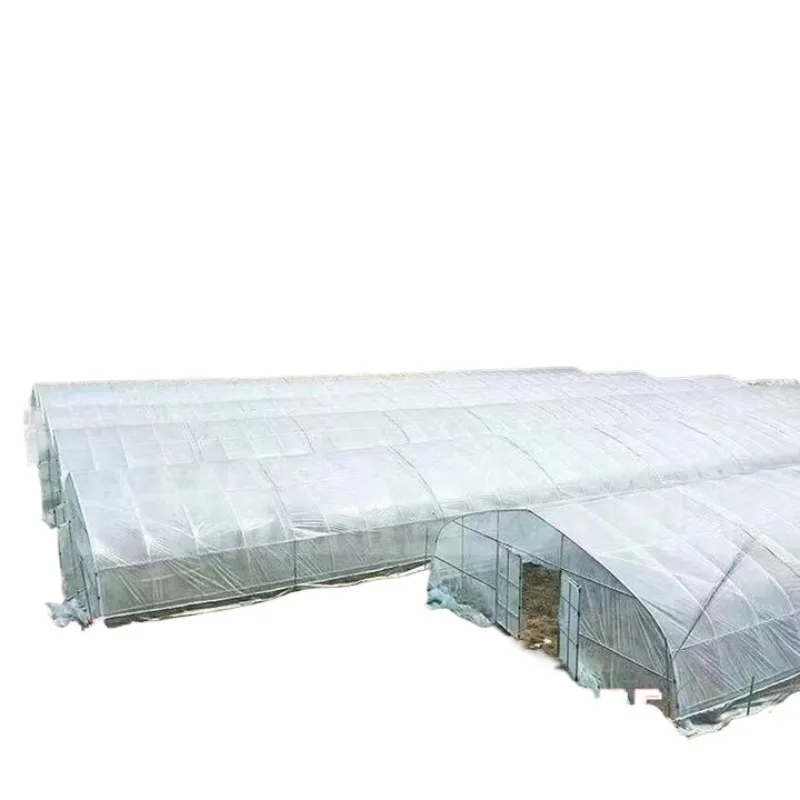 agricultural flower shed hot-dip galvanized greenhouse skeleton oval tube breeding greenhouse 6 meters wide and 20 meters long
agricultural flower shed hot-dip galvanized greenhouse skeleton oval tube breeding greenhouse 6 meters wide and 20 meters long
