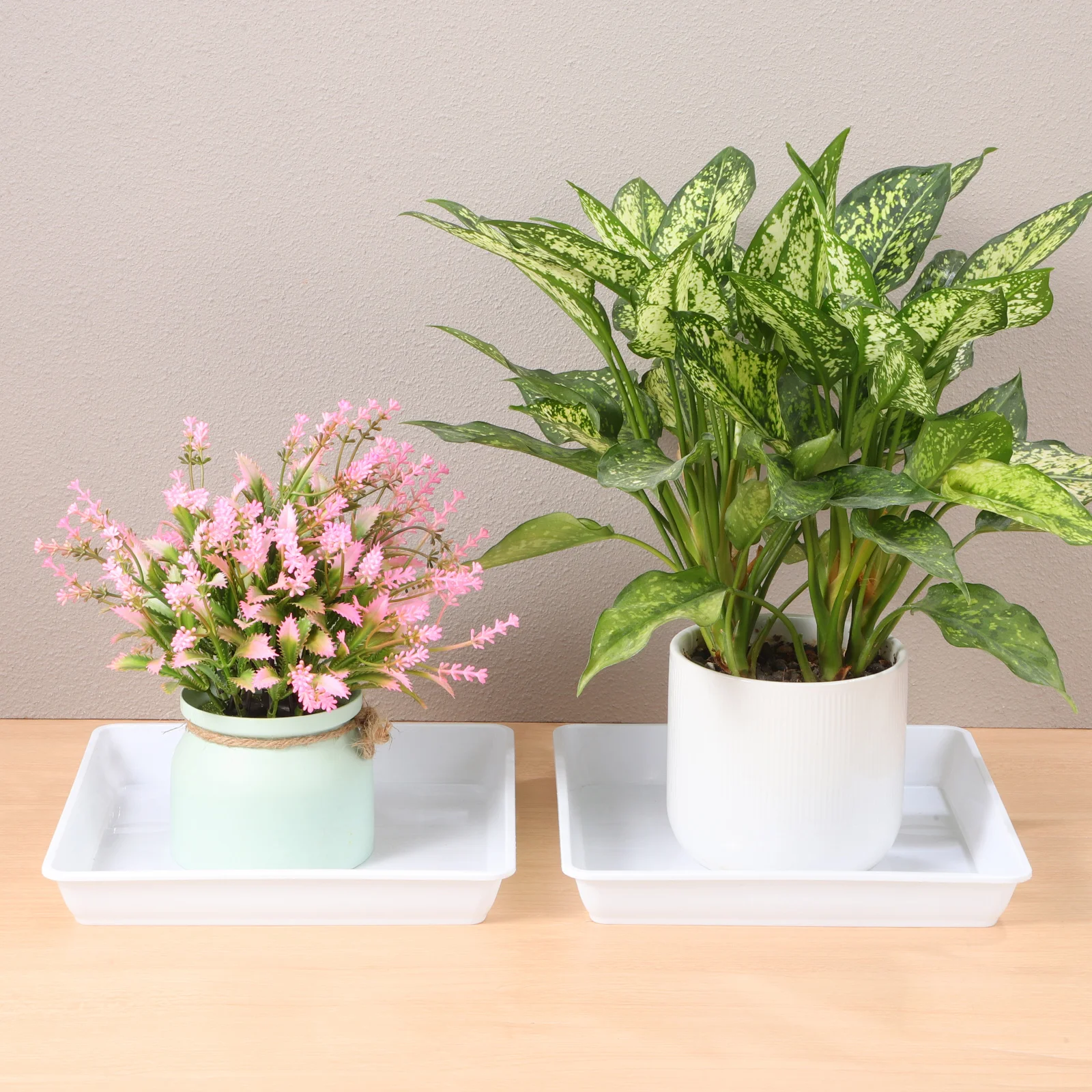 2pcs Square White Flower Pot Trays Drip Saucers for Indoor Plants Drainage Plates Planter Water Catcher Base Garden
2pcs Square White Flower Pot Trays Drip Saucers for Indoor Plants Drainage Plates Planter Water Catcher Base Garden
