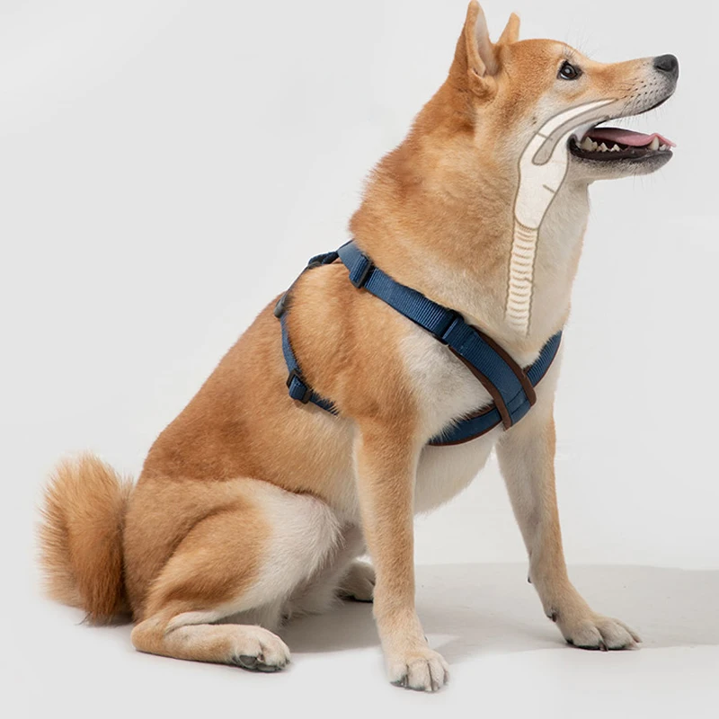 Dog High Density Imported Nylon Strap X-shaped Chest and Back Adjustable Harness Vest Pet Training Vest Harness Leash Strape
Dog High Density Imported Nylon Strap X-shaped Chest and Back Adjustable Harness Vest Pet Training Vest Harness Leash Strape