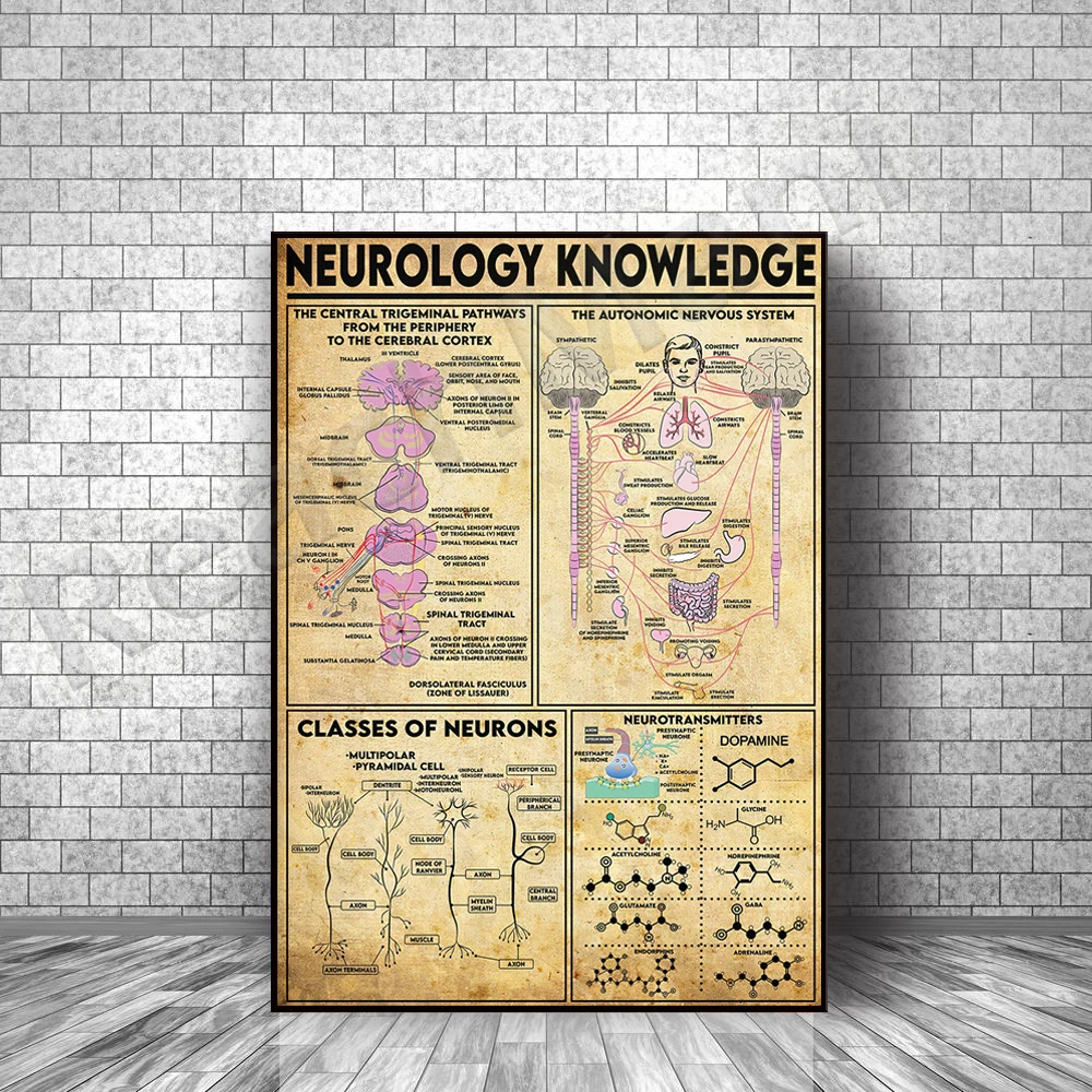 Neurology knowledge, neuroscience, neurology art, cerebral cortex vintage poster print decoration
Neurology knowledge, neuroscience, neurology art, cerebral cortex vintage poster print decoration