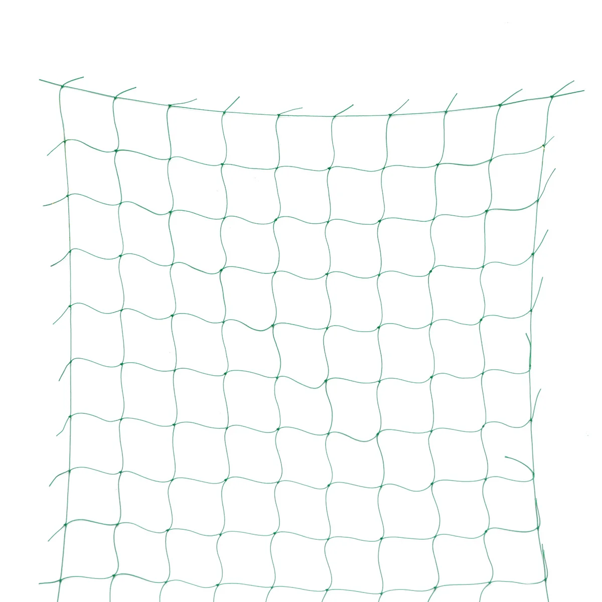 27 Climbing Plant Net Vining Vegetables Fruits Flowers Green Nylon Durable Washable Gardening Petunia Cucumber Plants
27 Climbing Plant Net Vining Vegetables Fruits Flowers Green Nylon Durable Washable Gardening Petunia Cucumber Plants