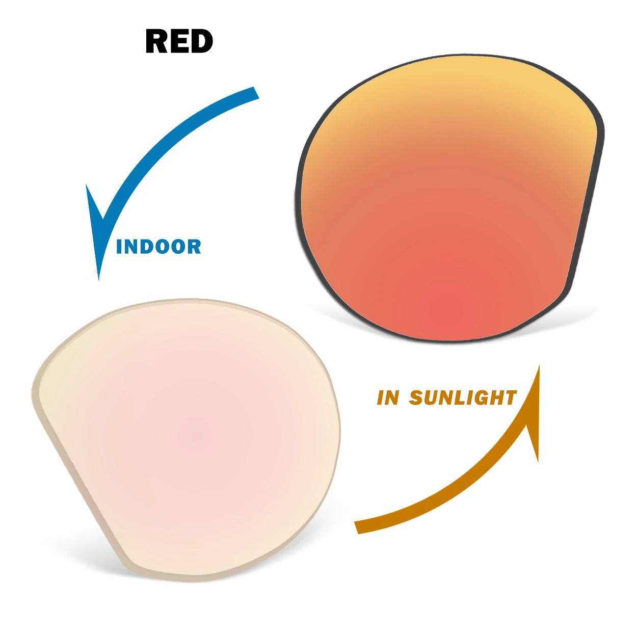 Transition Replacement Lenses for Oakley Meta HSTN OW8002 51mm Smart Glasses – Multiple Color Options
Transition Replacement Lenses for Oakley Meta HSTN OW8002 51mm Smart Glasses – Multiple Color Options