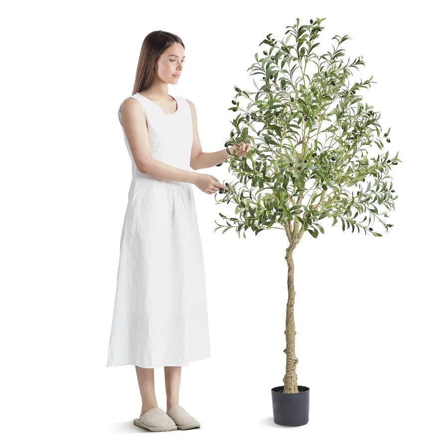 Artificial Olive Tree 6 FT Tall Faux Plant Secure PE Material AntiTip Tilt Protection LowMaintenance Plant Lifelike Green Fake
Artificial Olive Tree 6 FT Tall Faux Plant Secure PE Material AntiTip Tilt Protection LowMaintenance Plant Lifelike Green Fake