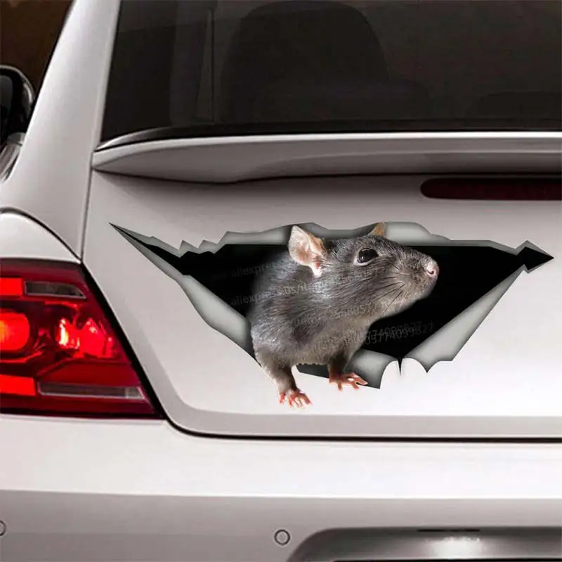 Cute Rat Pet Car Sticker Waterproof Vinyl Decal on Bumper Rear Window Laptop Self-adhesive Decal For Car Accessories SH287
Cute Rat Pet Car Sticker Waterproof Vinyl Decal on Bumper Rear Window Laptop Self-adhesive Decal For Car Accessories SH287