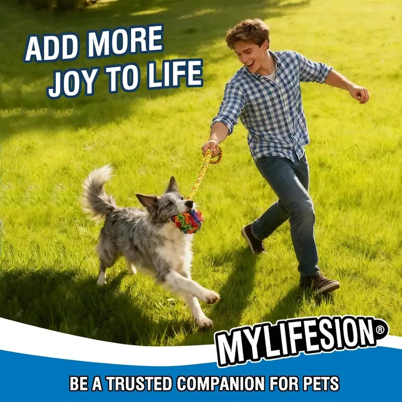 Interactive Snuffle Ball Dog Toy Slow Feeder Puzzle for Treats Mental Stimulation Chew Toy Enrichment Game Anxiety Relief for
Interactive Snuffle Ball Dog Toy Slow Feeder Puzzle for Treats Mental Stimulation Chew Toy Enrichment Game Anxiety Relief for