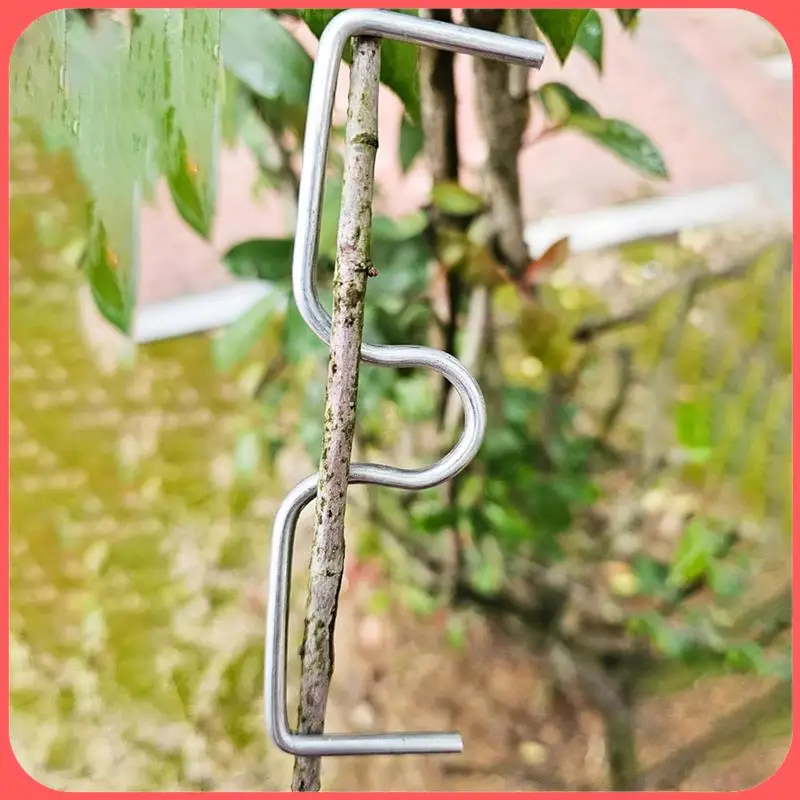 AA89-30 Pcs Fruit Tree Branch Puller Tying Machine Farm Tools Plum Tree Open Angle Pull Branch Stereotyped Branch Bending Easy T
AA89-30 Pcs Fruit Tree Branch Puller Tying Machine Farm Tools Plum Tree Open Angle Pull Branch Stereotyped Branch Bending Easy T