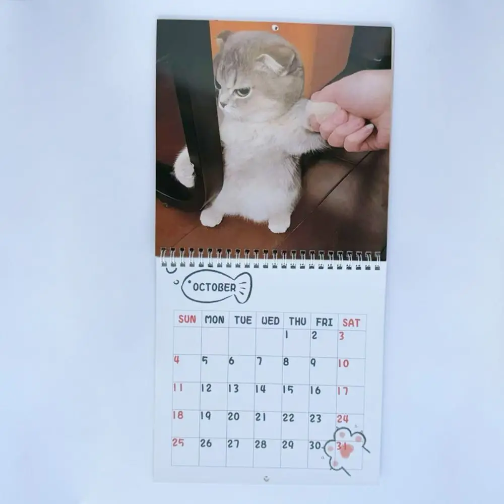 Милый настенный календарь на 2026 год с котиками, смотрящими на месяц, и очаровательными котами в шляпах с глазками-лягушками, ежемесячный планировщик-ежедневник, настенный календарь на 2026 год
Милый настенный календарь на 2026 год с котиками, смотрящими на месяц, и очаровательными котами в шляпах с глазками-лягушками, ежемесячный планировщик-ежедневник, настенный календарь на 2026 год