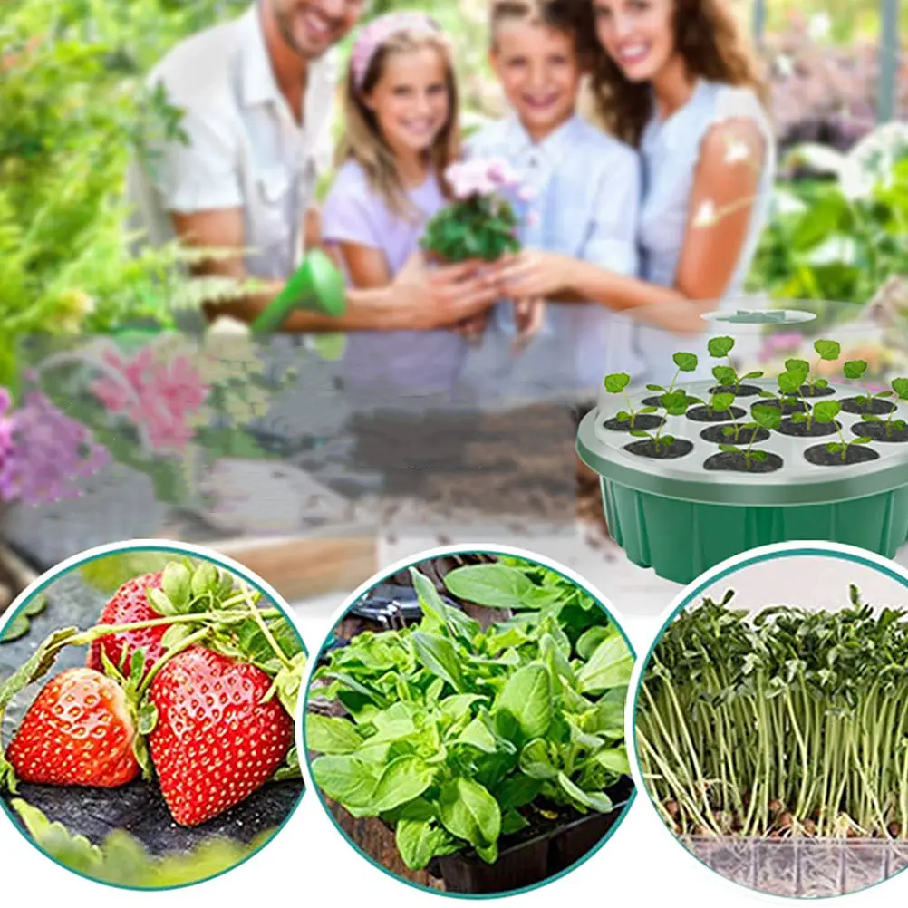 2 Pcs 13 Hole Seedling Box Plant Growing Tray Germination Starter Nursery Flat Microgreens Tray Semillero Home Gardening
2 Pcs 13 Hole Seedling Box Plant Growing Tray Germination Starter Nursery Flat Microgreens Tray Semillero Home Gardening